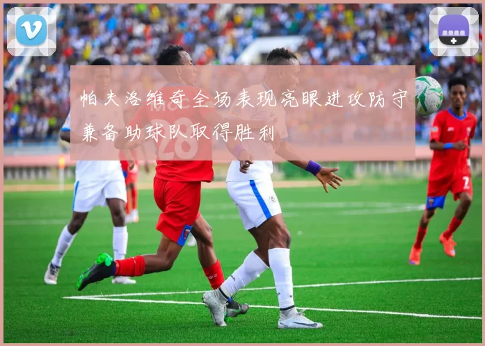 帕夫洛维奇全场表现亮眼进攻防守兼备助球队取得胜利